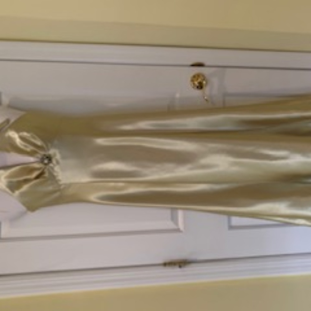 Prom Dress/Evening Gown